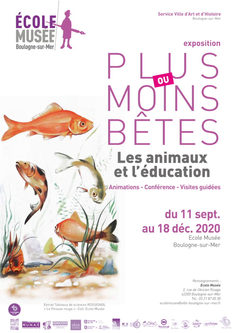 Plus ou moins bêtes : les animaux et l’éducation