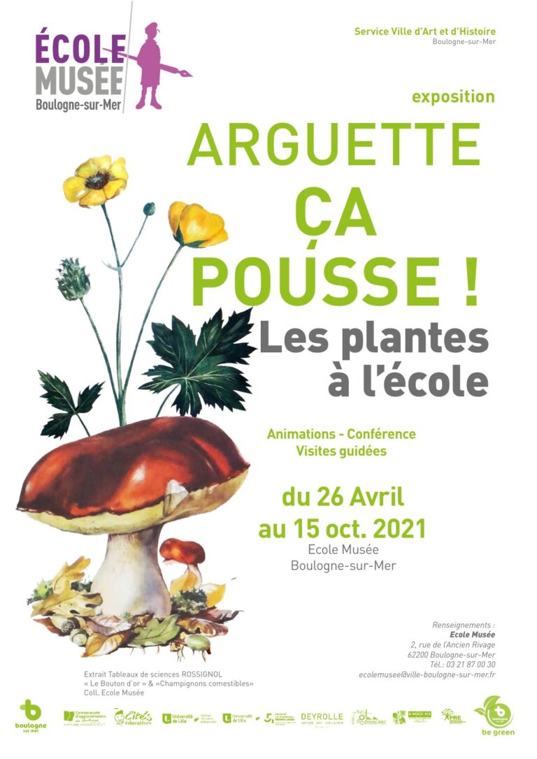 Arguette ça pousse ! : les plantes à l’école